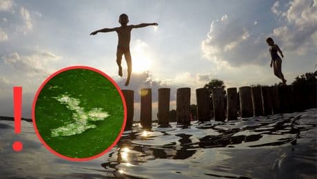 Sommer ist endlich zurück: Karte zeigt, welche Seen sich nicht zum Baden eignen