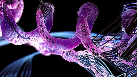 Deutsche Forscher entwickeln Protein zur Heilung von Blinden und Herzkranken