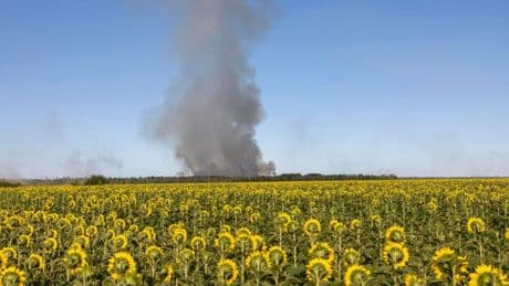 Feuer: Waldbrand in Gohrischheide - Löscharbeiten dauern an