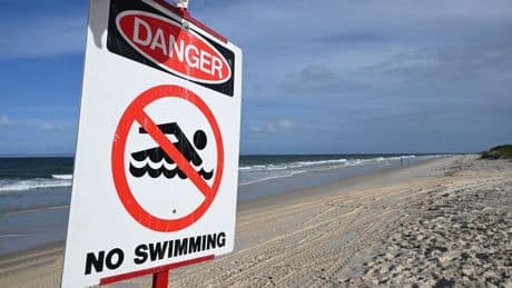 Surfer stirbt nach mutmaßlicher Hai-Attacke in Sydney