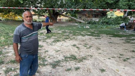 Konya'da piknikçilerin üzerine ağaç dalı düştü: 11 yaralı