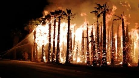 25 detenidos y varios investigados por provocar incendios este verano en España: uno trabajaba extinguiendo las llamas