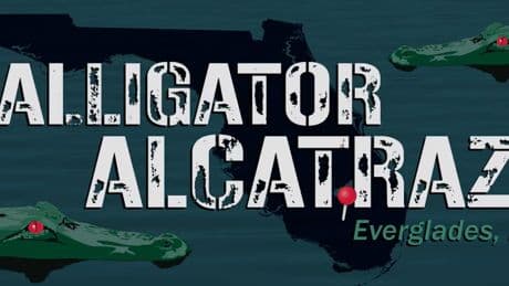 MAGA star skewered for gleefully promoting ‘official Alligator Alcatraz merch’: ‘The banality of evil’