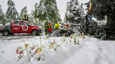 Mindestens vier Tote nach heftigem Regen und Schnee in den Alpen