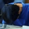 Syrian admits triple murder at trial for German knife attack