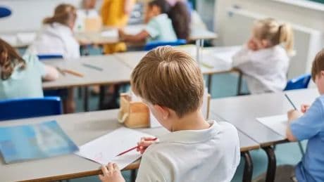 School holidays changes urged as airlines told 'do the right thing' by Transport Secretary