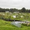 Anger as Britain's most controversial allotment wins right to stay despite opposition from Chris Packham and Deborah Meaden
