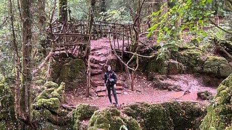 'Enchanting' fairytale UK forest is like 'stepping into Lord of the Rings'