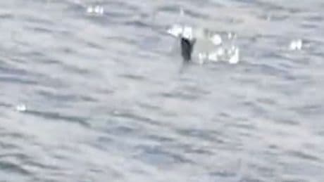 'Thought provoking' Loch Ness footage shows mysterious shape emerging from waves