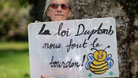 Umweltschutz in Frankreich: Mehr als eine Million Franzosen wehren sich gegen ein Pestizid