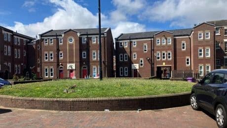 Liverpool residents terrified to leave homes as 'XL Gullies' unleash aerial attacks
