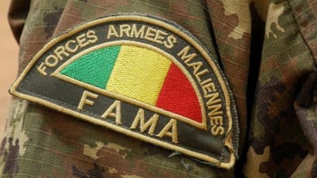 Mali: l'armée tue davantage de civils dans le Nord que les jihadistes, selon l'organisation locale CD-DPA