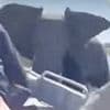 Moment enraged elephant charges at boat filled with terrified Brit safari tourists and lifts the vessel up with its tusks in croc-infested Botswana river