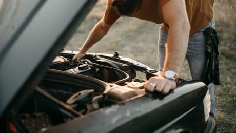 Frühling ist Marderzeit: So sichern Sie Ihr Auto effektiv