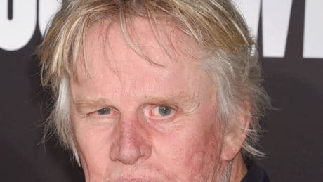 Gary Busey Pleads Guilty to Sex Crime Charge Tied to Horror Movie Event