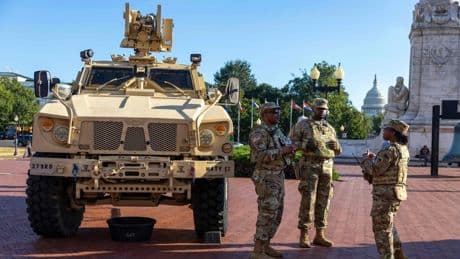 Nationalgarde in Washington: Die National Mall bewachen jetzt Biester