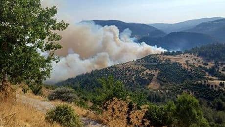 Bursa-Balıkesir sınırında orman yangını... Bir köy tahliye edildi!