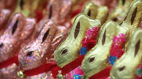 Süßes zu den Festtagen: Weniger Schoko-Osterhasen wegen hoher Kakaopreise