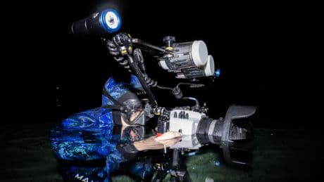 What lies beneath: filming gators in Florida springs