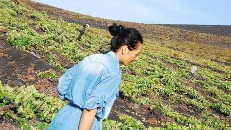 Victoria Torres, la mujer que hace vino sobre las cenizas del volcán de La Palma: