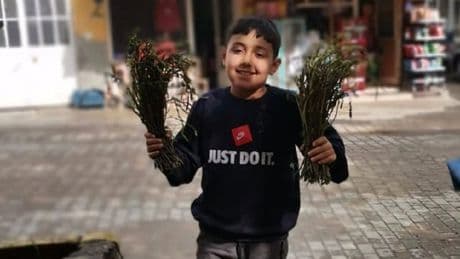 Pazarcının geçim kaynağı! Dağlarda kendiliğinden bitiyor, sepetini kapan koşuyor! Kıtlık onu da vurdu: Kilosu 100 TL