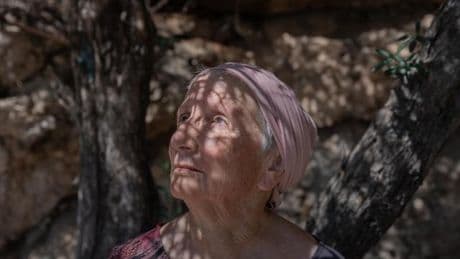 Israel und der Gazakrieg: "Es ist mir fast gleichgültig – und das ist grässlich"