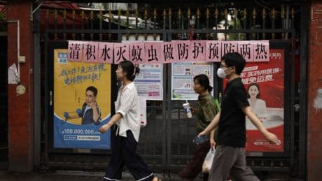 What we know about the chikungunya virus spreading in China – and risk to the UK