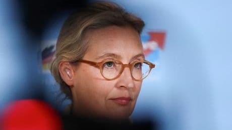 Die unwürdige Hängepartie um die AfD-Einstufung