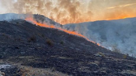 Desalojan seis viviendas en un incendio forestal en La Rioja por precaución