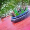 Waterattractie Amazonia in Bellewaerde valt opnieuw stil: “Puur een technisch mankement”