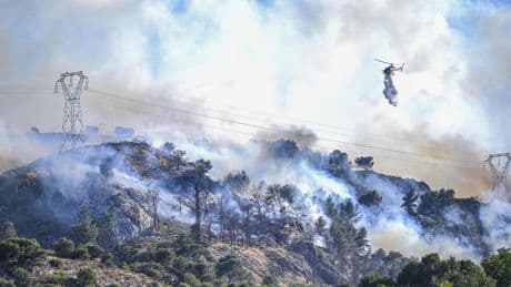 Bosbrand bij Marseille onder controle, 400 mensen geëvacueerd