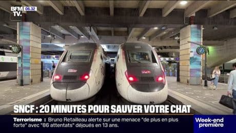La SNCF instaure un délai de 20 minutes pour tenter de sauver votre animal perdu dans une gare