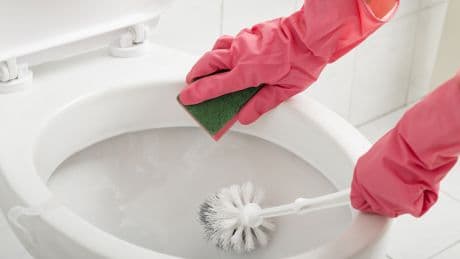 Bad-Hygiene: So häufig sollten Sie Ihre Klobürste austauschen