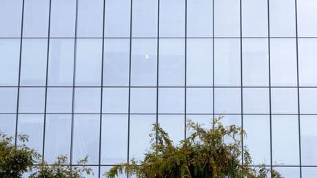 Pill Causes Major Weight Loss in Eli Lilly Trial’s Results