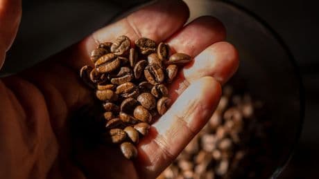 US-Zollpolitik: Macht Trump den Kaffee teurer?