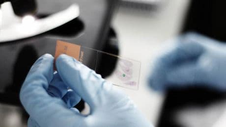 Las farmacéuticas españolas invierten 1.533 millones en I+D, un 6,6% más