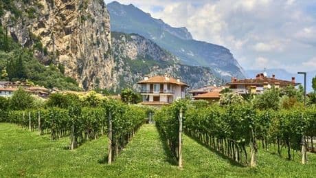„Tödliches Spiel“: Warum gerade Italien Trumps Zölle fürchtet