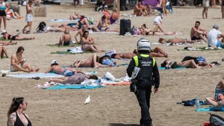 UK tourists warned as rabies case detected in Spain province