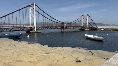 Balıkesir'in Bandırma kıyılarında müsilaj
