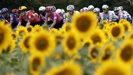 EN DIRECT - Tour de France : Van der Poel fait le show, les baroudeurs animent la 15e étape, le peloton touché par une grosse chute