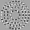 How many circles can you see in 10 seconds in this mind-boggling optical illusion?
