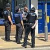 Hot Buzz! Police are ridiculed after sending team of officers to deal with a swarm of bees
