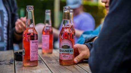 Profits recover at Magners maker C&C Group