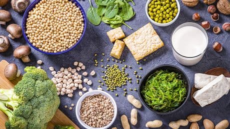 Vegane Muskelberge: Der pflanzliche Weg eines Bodybuilders zum Erfolg