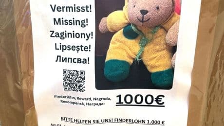 Gesellschaft: Teddy verzweifelt gesucht: 1.000 Euro für "Mini" ausgesetzt