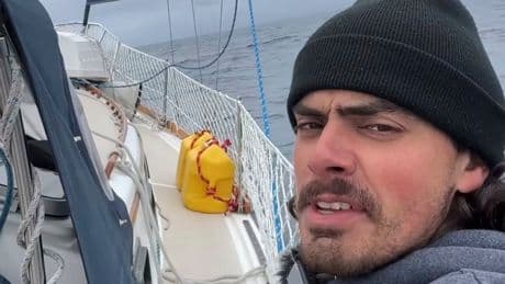 Sailing from Oregon to Hawaii after quitting his job turns a man with a cat into social media star