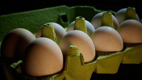 As Egg Prices Peaked, 280,000 Vanished Off A Freight Truck—How?