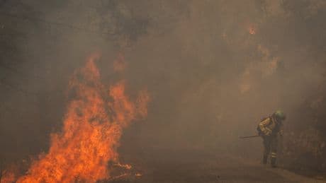 Europe wildfires map: Spain deploys nearly 2,000 soldiers to tackle major blazes