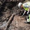 Time capsule of prehistoric treasures unearthed in a 5,000-year-old BOG - including perfectly preserved walking sticks