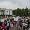 "Résistons à la tyrannie" : des milliers d'Américains ont de nouveau manifesté contre la politique de Donald Trump et Elon Musk